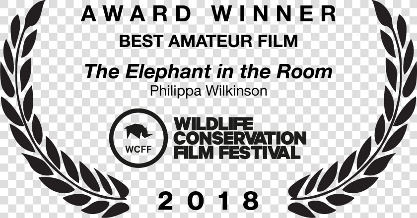 Film Festival Winning Template  HD Png DownloadTransparent PNG