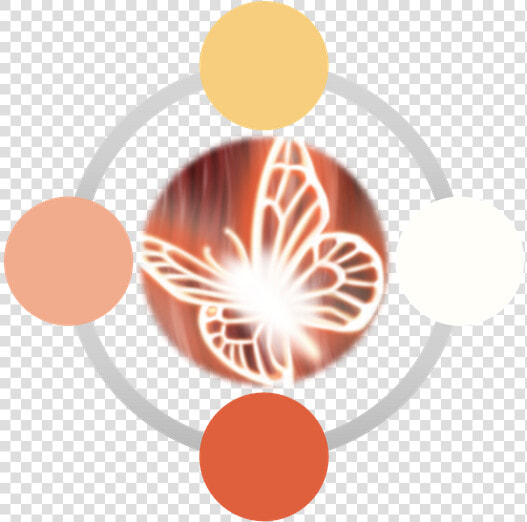 Imagen1   Circle  HD Png DownloadTransparent PNG