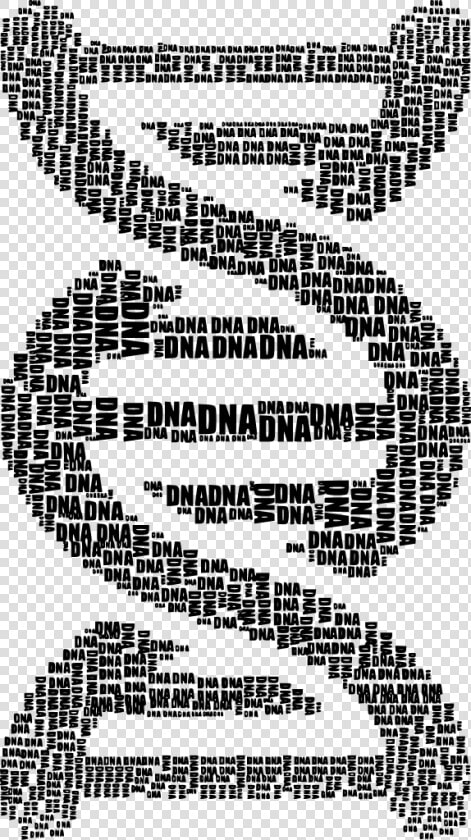 Dna Strand Word Cloud Typography Black   Word Cloud Of Dna  HD Png DownloadTransparent PNG