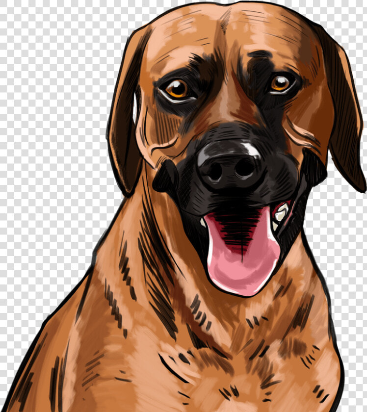 Sunny   Dog Yawns  HD Png DownloadTransparent PNG