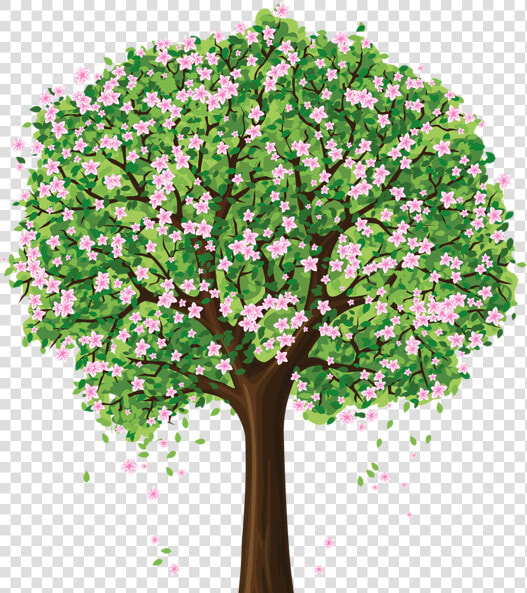 Tree Png Crafting Trees   Spring Tree Clipart Transparent  Png DownloadTransparent PNG