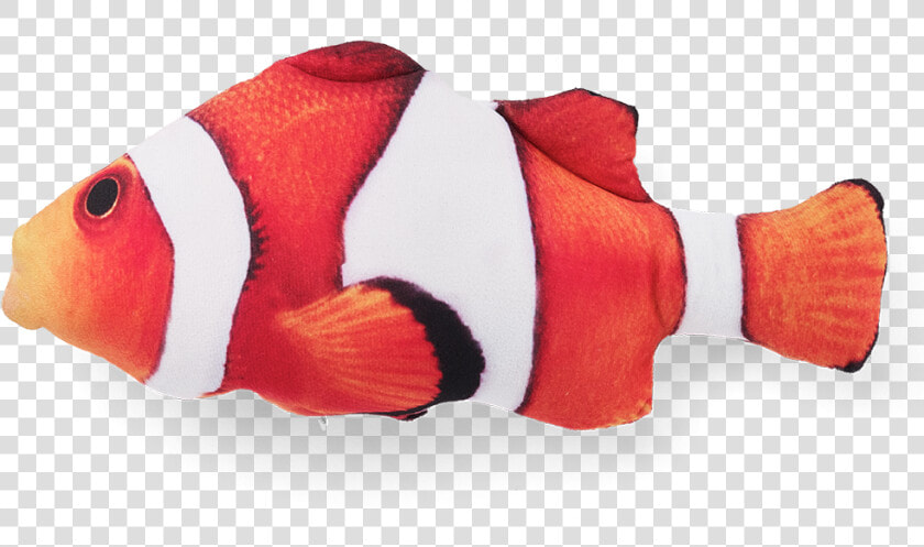 Red Snapper  HD Png DownloadTransparent PNG