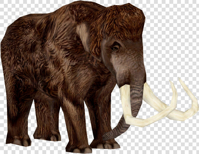 Woolly Mammoth Adult   Mammoth Transparent  HD Png DownloadTransparent PNG