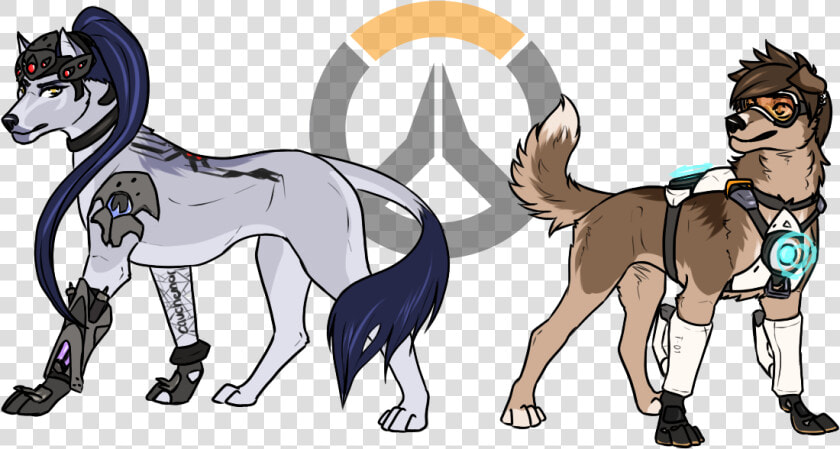 Transparent Widowmaker Png   Widowmaker As A Dog  Png DownloadTransparent PNG