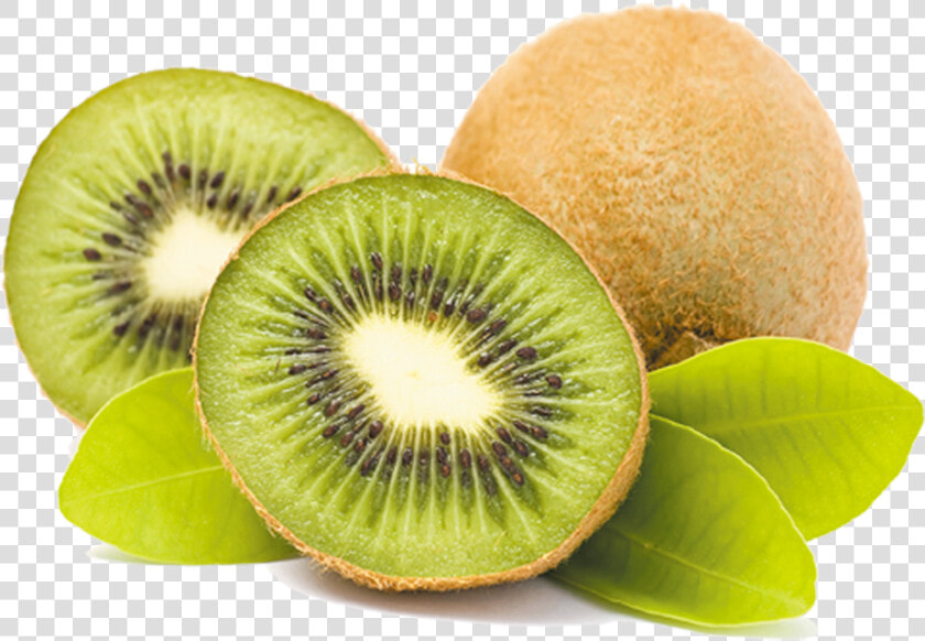 Kiwi Png Download   Kiwi Png  Transparent PngTransparent PNG