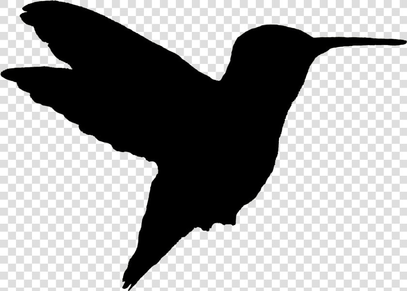 Ruby Throated Hummingbird Flying Kjm2735 10 Silhouette   Ruby Throated Hummingbird Silhouette  HD Png DownloadTransparent PNG