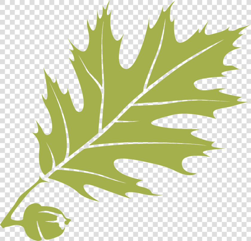 1839   Thomas College  HD Png DownloadTransparent PNG