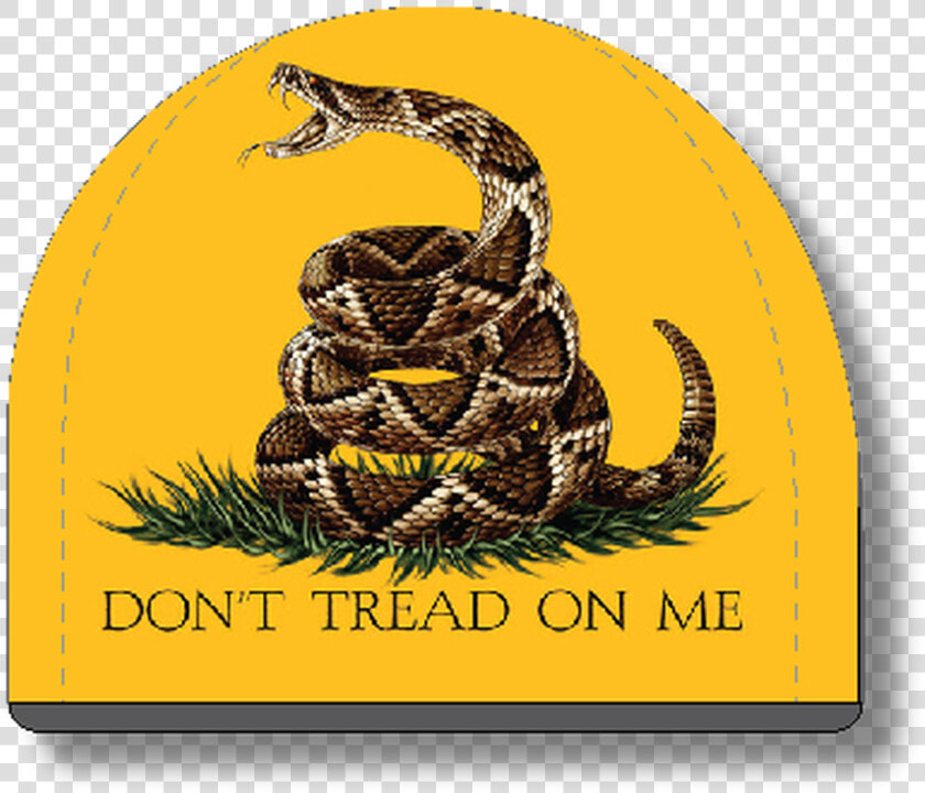 Don T Tread On Me   Dont Tread On Me Rattlesnake  HD Png DownloadTransparent PNG
