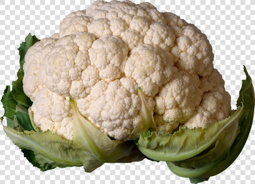 Download For Free Cabbage Png In High Resolution   Cauliflower Png  Transparent PngTransparent PNG