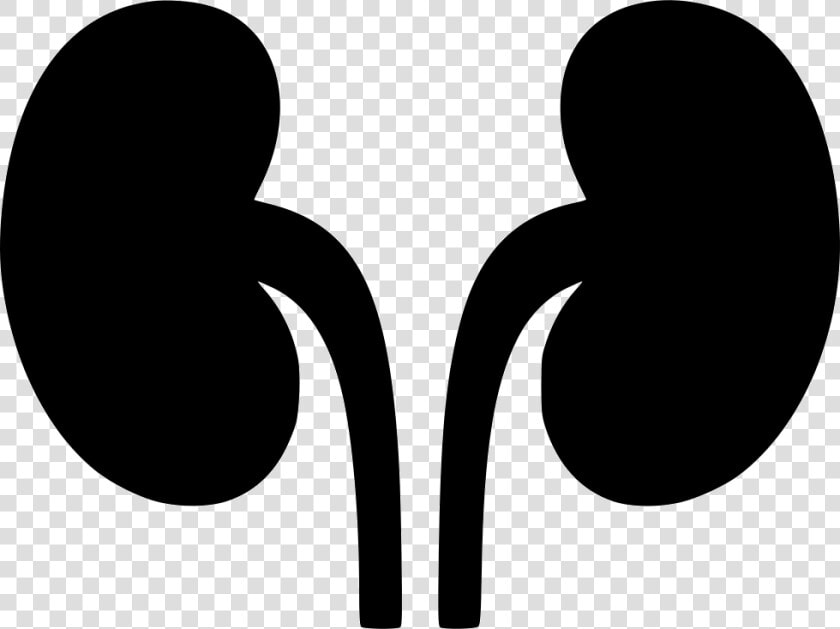 Kidneys Svg Png Icon   Clipart Kidney Png  Transparent PngTransparent PNG