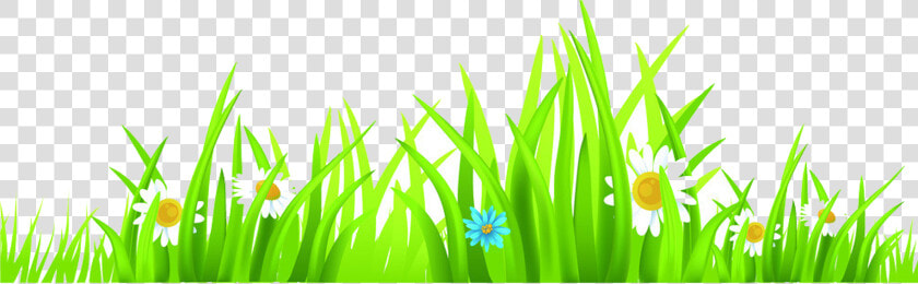 Euclidean Vector Cdr Clip Art   Cartoon Butterfly Garden Background  HD Png DownloadTransparent PNG