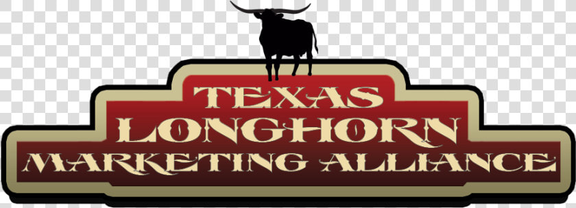 Transparent Texas Longhorns Png   Bull  Png DownloadTransparent PNG
