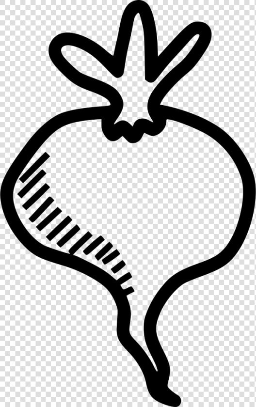 Beet Root Plant Spring Food Vegetable   Vegetable Clipart Black And White Free  HD Png DownloadTransparent PNG