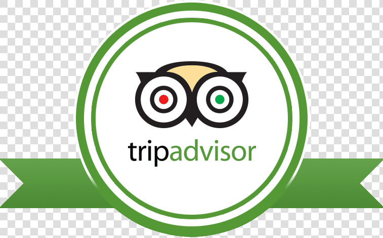 Transparent Tripadvisor Logo Png  Png DownloadTransparent PNG