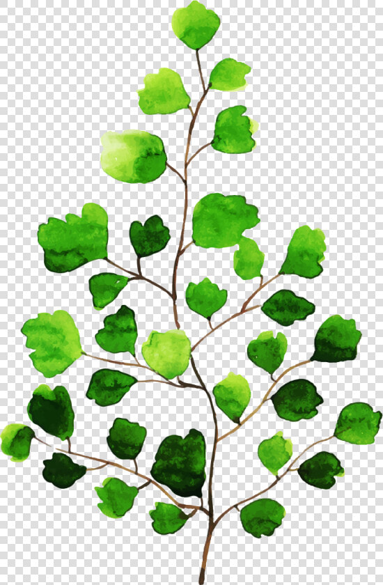 Twig  HD Png DownloadTransparent PNG
