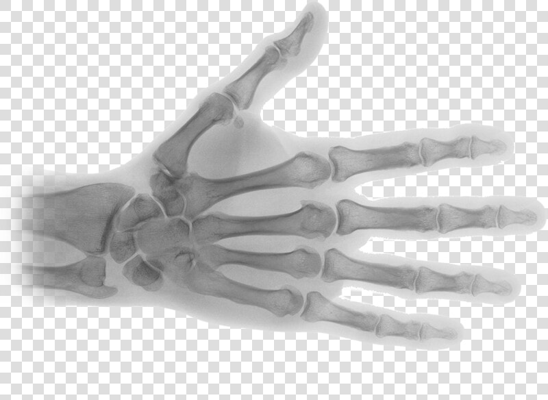 X ray Transparent Image   Transparent X Ray Png  Png DownloadTransparent PNG