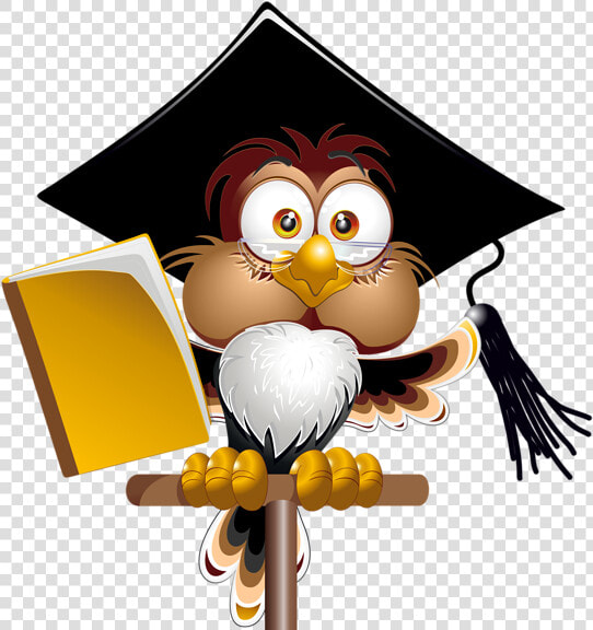 Owl With School Png   Owl Png Vector School  Transparent PngTransparent PNG