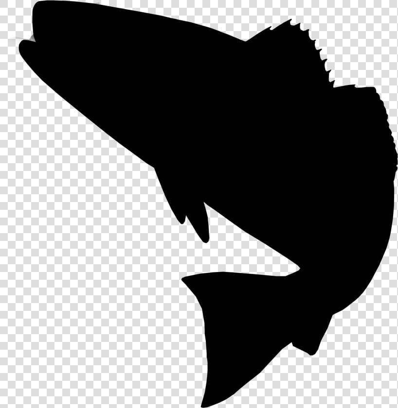 Clip Art Red Drum Fishing Silhouette Image   Red Drum Fish Silhouette  HD Png DownloadTransparent PNG