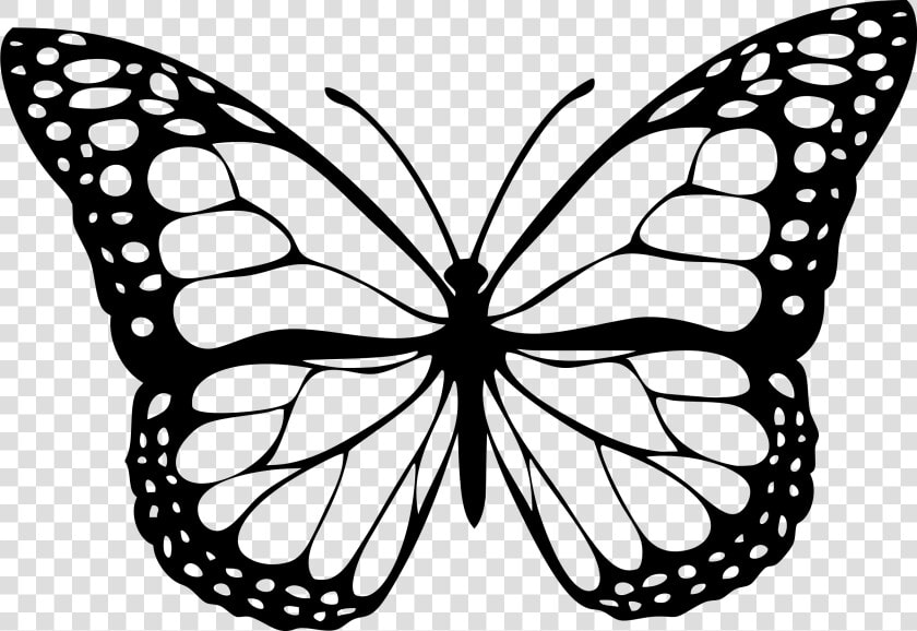 Butterfly 1 Icons Png   Gambar Kupu Kupu Hitam Putih  Transparent PngTransparent PNG
