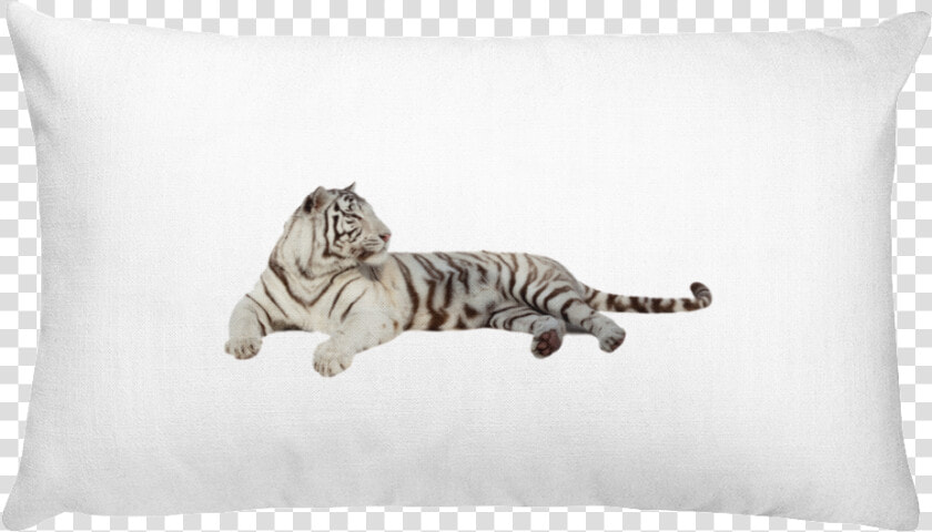 Class Lazyload Lazyload Mirage Cloudzoom Featured Image   White Rectangular Pillow  HD Png DownloadTransparent PNG