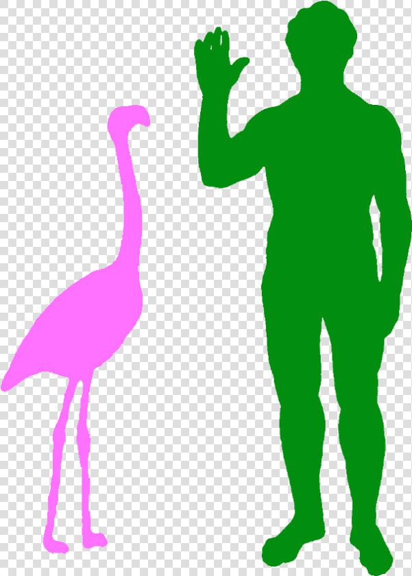 Transparent Flamingo Silhouette Png   Flamingo Compared To Human  Png DownloadTransparent PNG