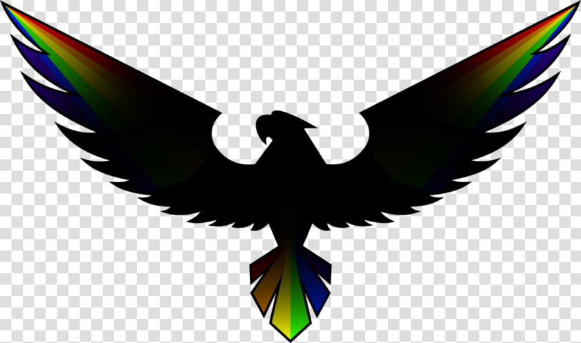Hawk Vector   Hawk Logo Transparent Background  HD Png DownloadTransparent PNG