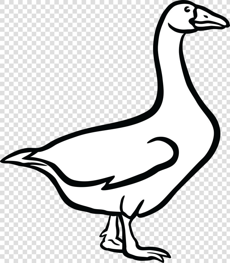 Canada Goose Mute Swan Bird Vertebrate   Goose Black And White Clipart  HD Png DownloadTransparent PNG