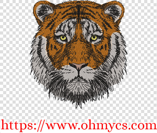 Siberian Tiger  HD Png DownloadTransparent PNG