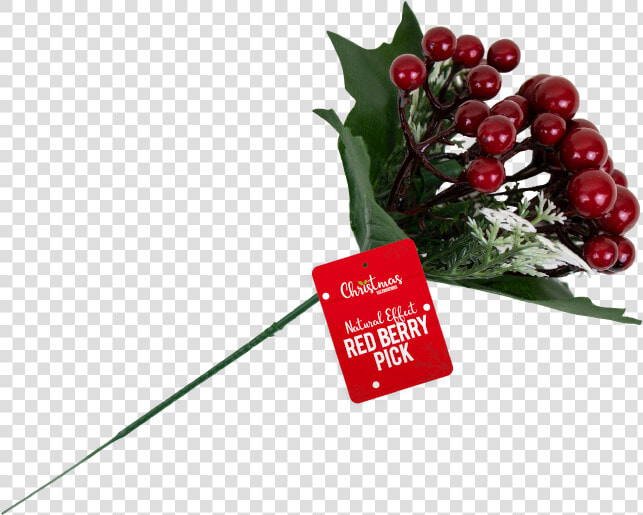 Christmas Red Berry Pick With Pdq   Floral Design  HD Png DownloadTransparent PNG