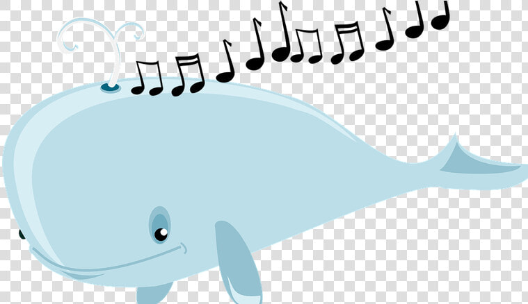 Whale Sounds Clipart Graphic Free Library Why Do Whales   Whales  HD Png DownloadTransparent PNG