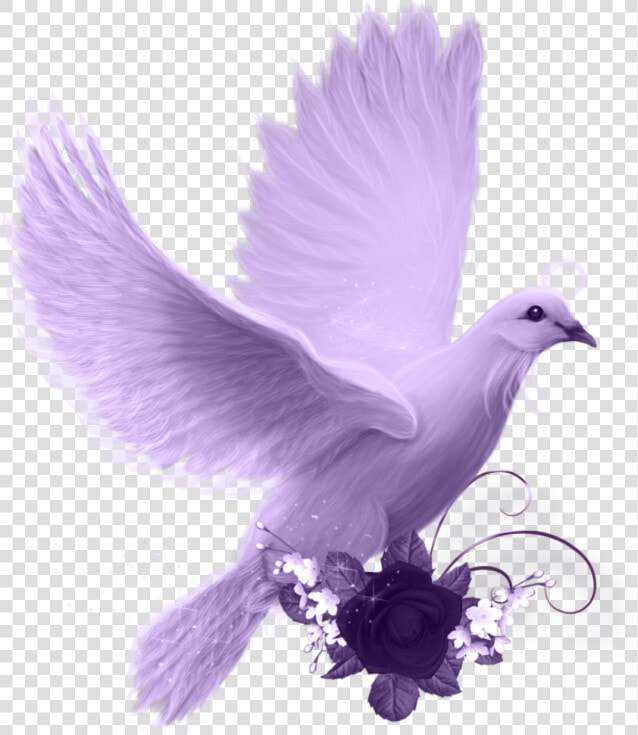 Paloma Png   Imagui   Bonne Fête Papa Gif  Transparent PngTransparent PNG