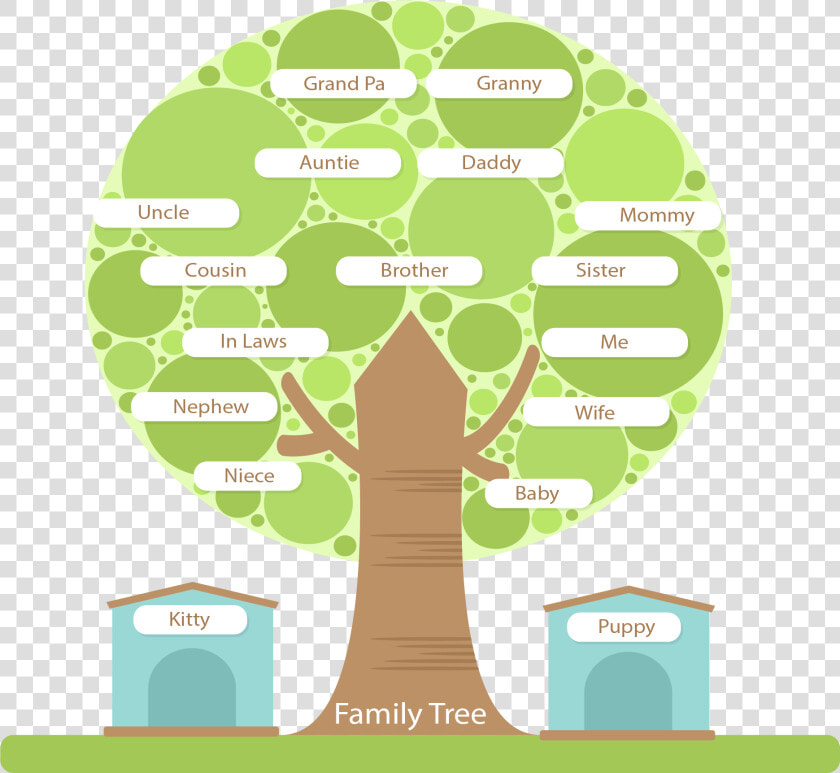 Tree Structure Family Round Hd Image Free Png Clipart   Tree Structure Png  Transparent PngTransparent PNG