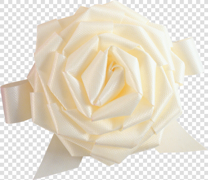 White Roses Png Free Download   Garden Roses  Transparent PngTransparent PNG