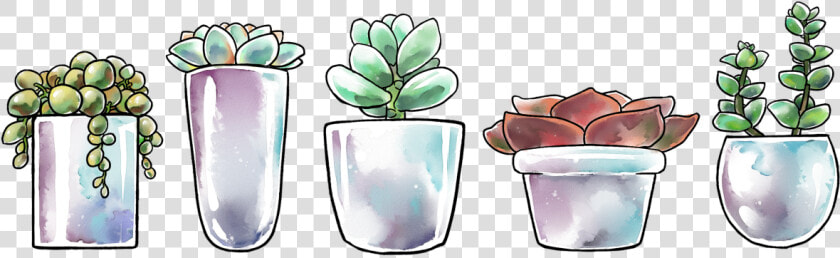 “ Some Big Transparent Succulents For All Your Nature   Succulent Illustration Transparent  HD Png DownloadTransparent PNG