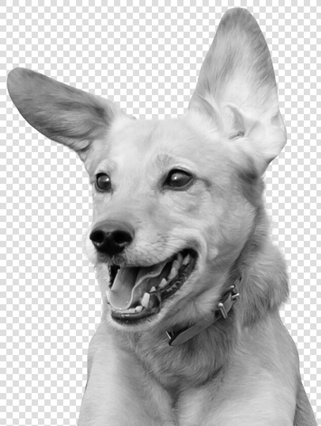 Excited Photograph  HD Png DownloadTransparent PNG