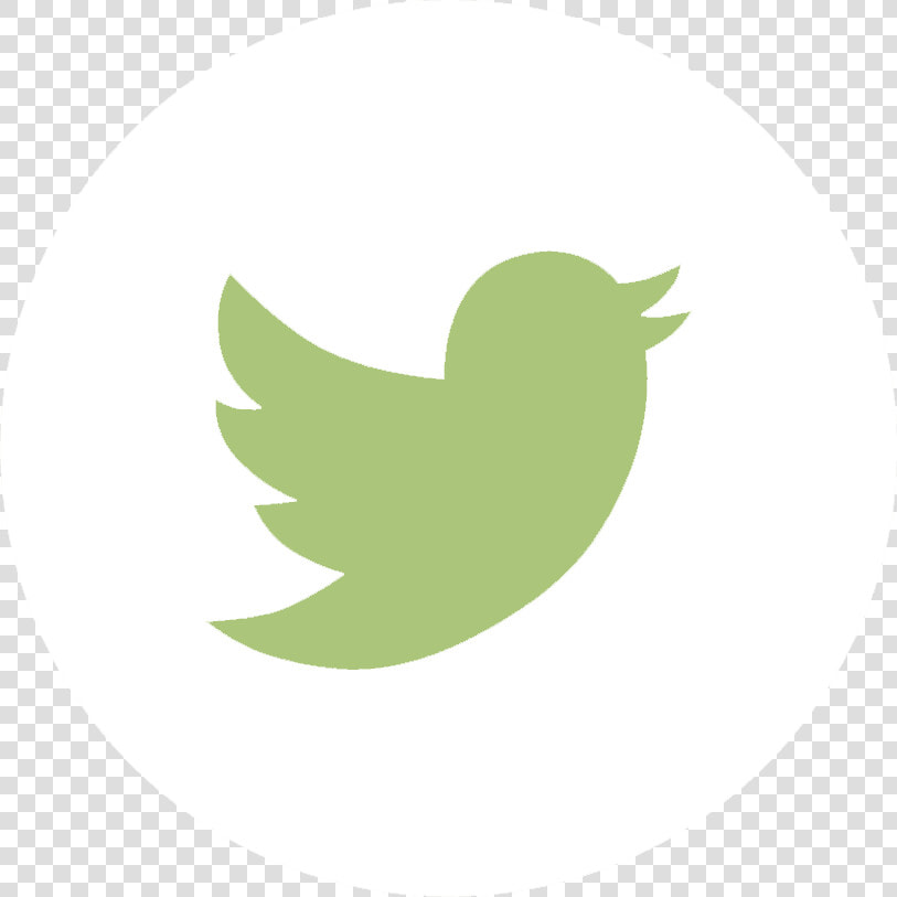 Twitter Grey Logo Png   Transparent Cartoons   Twitter Logo Grey Transparent  Png DownloadTransparent PNG