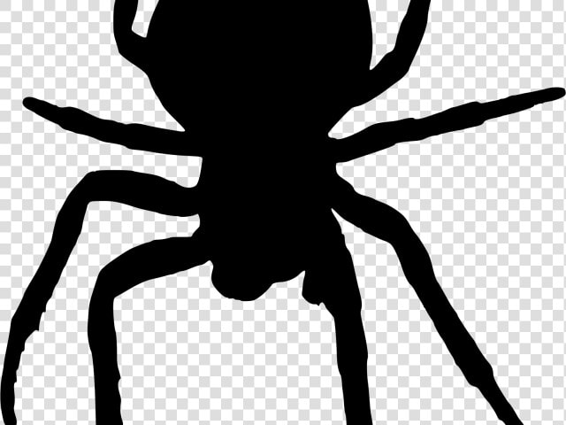 Horror Clipart Scary Spider   Spider Silhouette Png  Transparent PngTransparent PNG