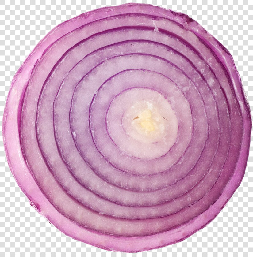 Sliced Onion Png Transparent Image  Png DownloadTransparent PNG