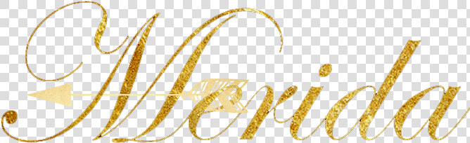 Erica Mcgraw  HD Png DownloadTransparent PNG