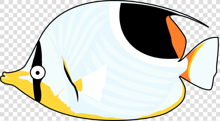 Tropical Fish Clipart Butterfly Fish   Tropical Fish Clip Art  HD Png DownloadTransparent PNG