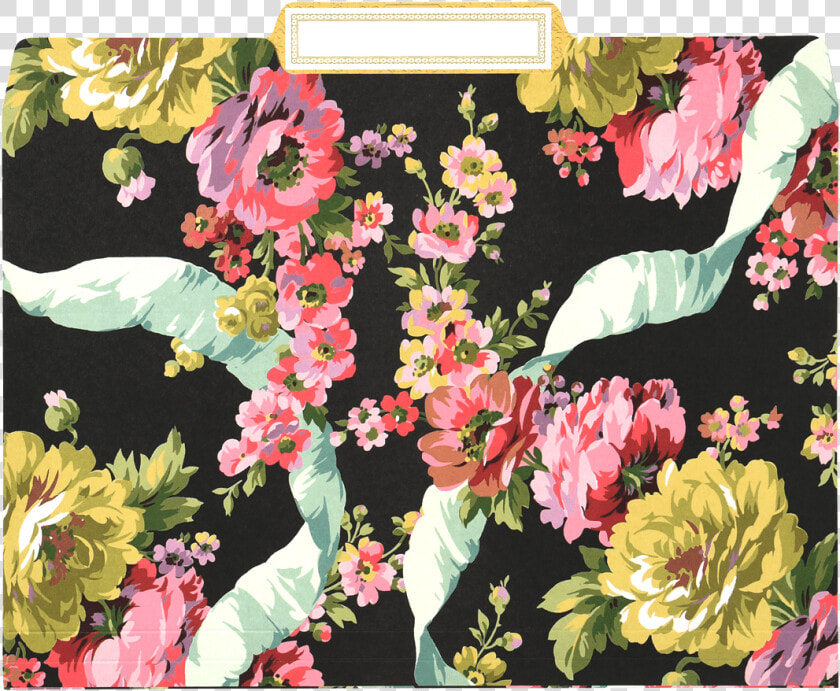 Chrysanths  HD Png DownloadTransparent PNG