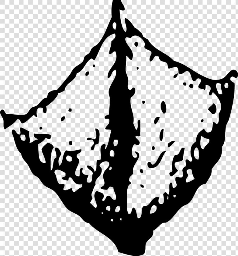 Wild Animal Footprints Clipart  HD Png DownloadTransparent PNG