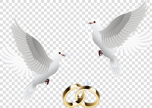 Abecedario Para Bodas Con Palomas Y Argollas  HD Png DownloadTransparent PNG