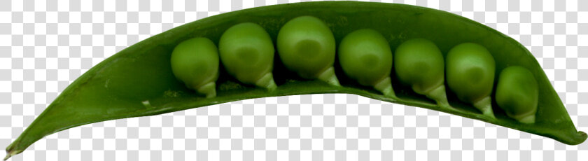 Snap Pea  HD Png DownloadTransparent PNG