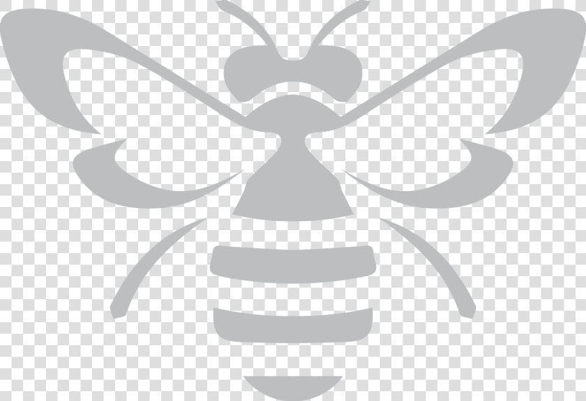 Insect wing membrane Winged Insect black And White design clip   Black White Bee Png  Transparent PngTransparent PNG