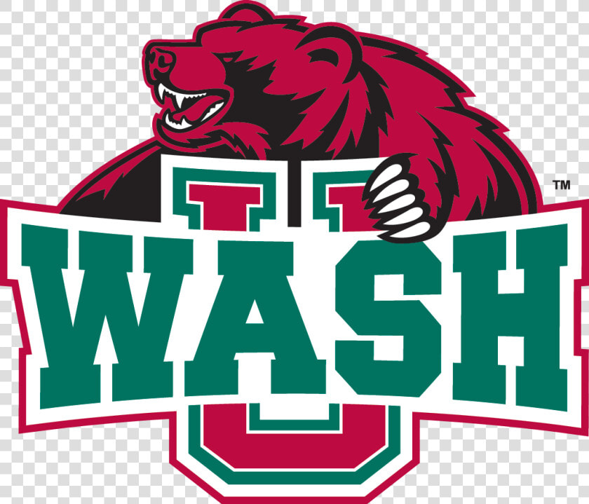 Washington University In St  Louis  HD Png DownloadTransparent PNG