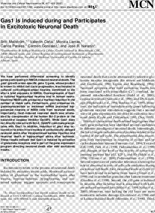 Document  HD Png DownloadTransparent PNG