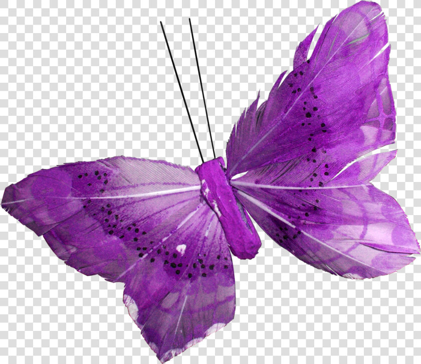 Purple Butterfly Png   Фиолетовые Пнг  Transparent PngTransparent PNG