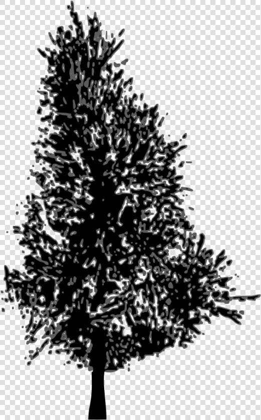 Vector Pine Tree   Pine Tree Cliparts Silhouette  HD Png DownloadTransparent PNG
