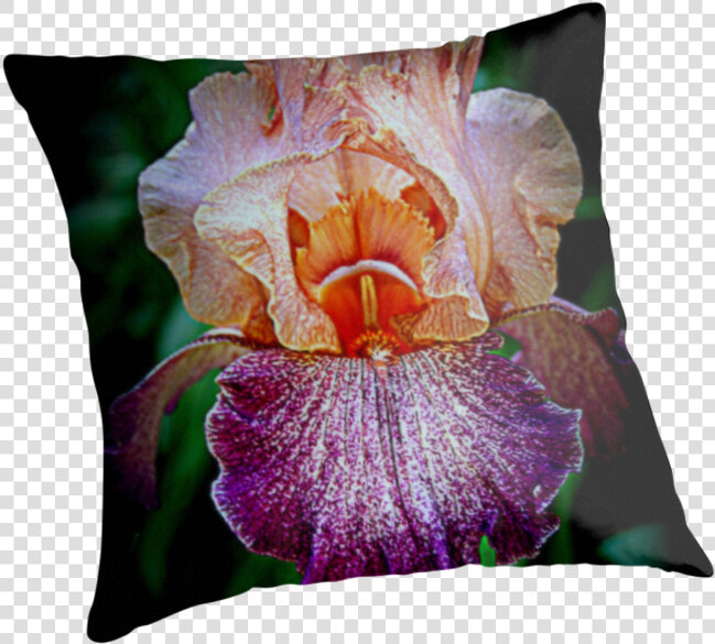 Vibrant Iris Flower   Cushion  HD Png DownloadTransparent PNG